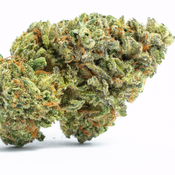 Blueberry