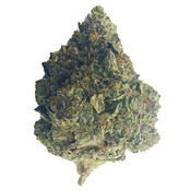 (AAAA) Pink Frost – INDICA
