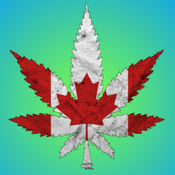 [24/7] Fresh Bud Company