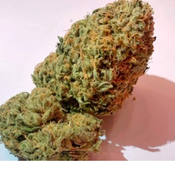 AFGHANI
