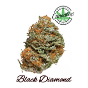 Black Diamond | AAAA | THC Level 24-26%| Indica