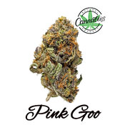 Pink Goo | AAAA- | THC Level 25-27%| Indica