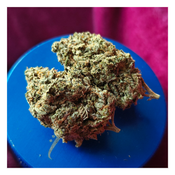 *NEW* Mango Kush (7g-$50/14g-$80/28g-$150) (THC 31%)