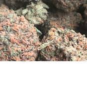 *New| Pink Death Star AAA [2 oz for $180, 4 oz $325]