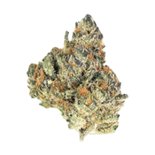 Pink Gasoline | 4A DEAL