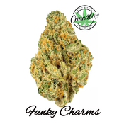 Funky Charms | AAAA+ | THC Level 28-30%| Hybrid