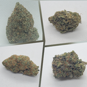 Sunday Special Mix n Match*Check Description For Price And Strains Available*