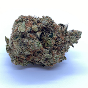 ( $100 OZ x QUAD ) WHITE MASTER TUNA | 2 OZ $160 