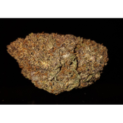 BLACK GOLD 18-22%THC -SPECIAL SALE  PRICE  $115 Oz! THIS WEEK ONLY!