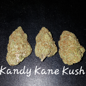 KANDY KANE KUSH 25% THC