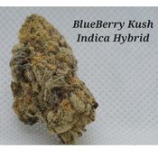 BlueBerry Kush(Indica Hybrid)