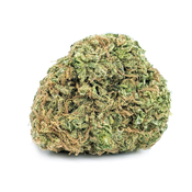 Budget Buds – Donkey Butter