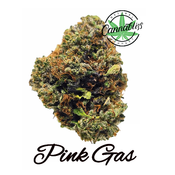 Pink Gas | AAAA | THC Level 24-27%| Indica
