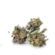 Billy The Kid (AA) / Special OZ Price