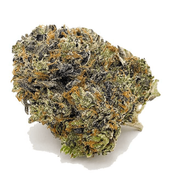 Pink Gelato (AAAA+) / Special OZ Price