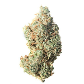 BLACK JACK 