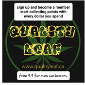 #1 QUALITY LEAF .. TOP QUALITY(BC CRAFT & SUPER QUADS , QUADS AND TRIPS)(call or text 705 717 7353)