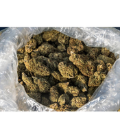 450$ FOR POUND OF AAA+(4 STRAINS AVAILABLE)
