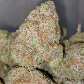 Dos Si Pie (Indica) only 3oz small buds Left- $70/Oz