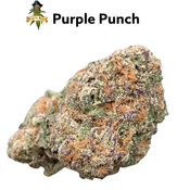 **NEW**Purple Punch | AAA+ | 27% THC | Oz Special $95