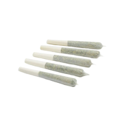 Pre-roll Pack of 6 ( Astro pink ) ( $35)