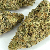 ***ON SALE *** Blue Zushi #9 (Premium Exotic Cali)  2oz @ $180