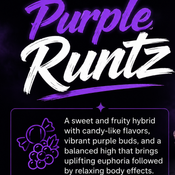Purple Runtz ( This stuff is FIRE) 2for180 thumbnail 2