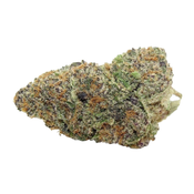 Animal Cookies | 5A DEAL