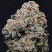 💎O.P.P👑 (OLD Pink PUS*SY)🥇 $260-20% Discount=$240 🔈Real Scarborough Gas Smoke!