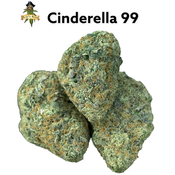 **Cinderella 99 | AA+| 26%THC| Oz Special $85