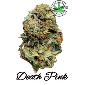 Death Pink | AAA++ | THC Level 22-25%| Indica