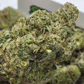 (NEW) Wedding Crasher 🤵👰💥