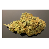 New Batch! BRUCE BANNER - 22-27%THC - Special Price $100 oz!