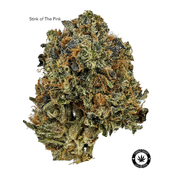 AAA+ – Stink Of The Pink –  $90-OZ $150-2OZ
