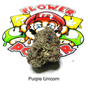 “AAAA” Purple Unicorn