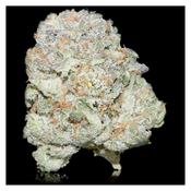 All Star Pink  - 28G Deal - Heavy Indica Gas
