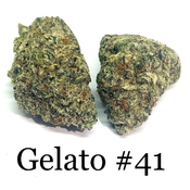 - 🔥🔥 Gelato #41 🔥🔥 AAAAA+ HYBRID 30% THC