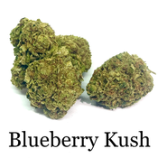BLUEBERRY KUSH AAA+ INDICA DOMINATE ** DEAL 2 OZ FOR $120 - 4OZ FOR $200 **