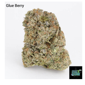 1 ounces $75 - 2 ounces $125 - Glue Berry - AA+