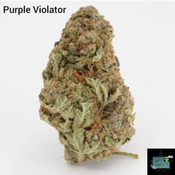 1 ounce $75 - 2 ounces $125 - Purple Violator - AA+