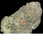 Blue Monster - 28G Deal - Heavy Indica Gas
