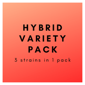 * Hybrid Variety Pack