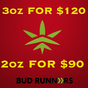 Bud Runners - Barrie