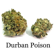 ** DURBAN POISON ** AAA+ SATIVA -  DEAL 2 OZ for $90   -   4 OZ for $150