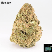1 ounce $65 - 2 ounce $100 - Blue Jay - AA