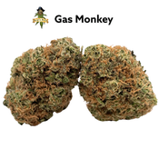 **Gas Monkey | 27%THC | AAA | Buy 1 Get 1- $145