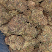 Ice cream Sundae | HYBRID | 26-29% THC | $70 oz | $100 2 oz | $170 4 ozs | BULK AVAILABLE | thumbnail 2