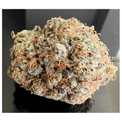 NEW BACTH ! BROWNIE SCOUT  20-30% THC - SPECIAL PRICE $125 oz !