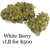 WHITE BERRY AAA+ INDICA DOMINATE -** DEAL 2oz FOR $110 - 4oz FOR $200 **   *** 1LB FOR $500***