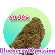 69.99 blueberry x passion fruit